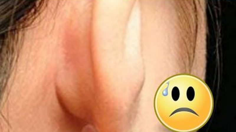 网站维护代理加盟：揭秘加盟流程的五大步骤